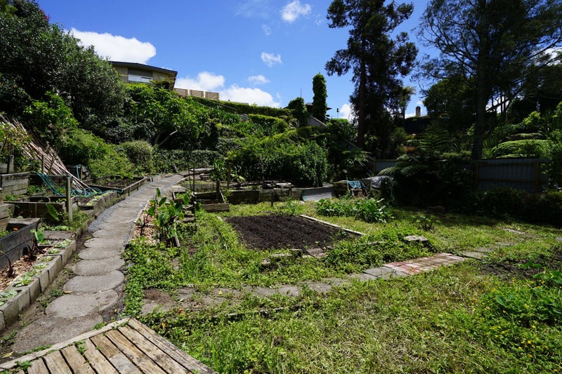 52 Herbert Road, Queenwood, Hamilton - Carousel 29