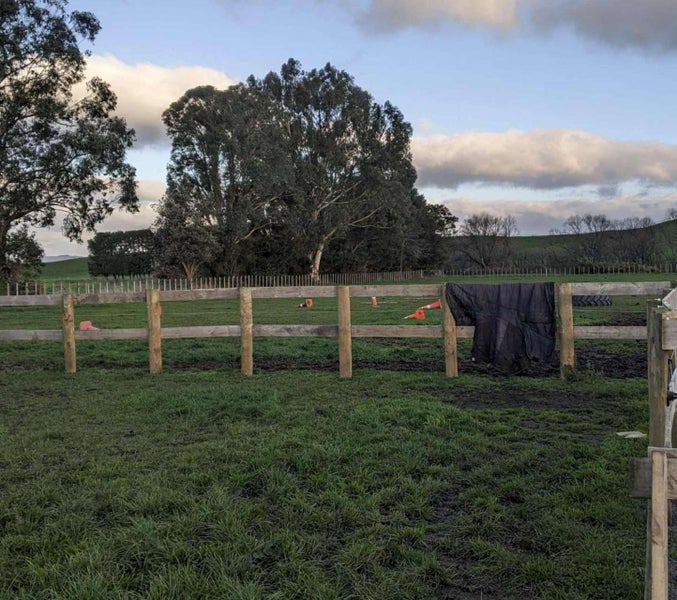 19 Black Road, Ashley Clinton, Takapau - Carousel 13