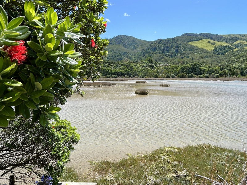 56 TOTARA AVE, COLLINGWOOD - Carousel 2