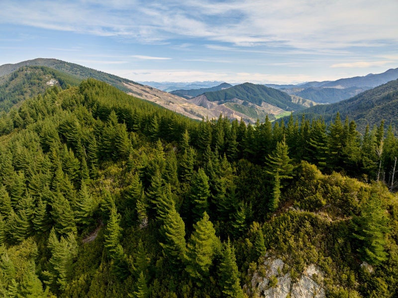 Property Valuation for 895 Waikakaho Road, Tuamarina, Marlborough