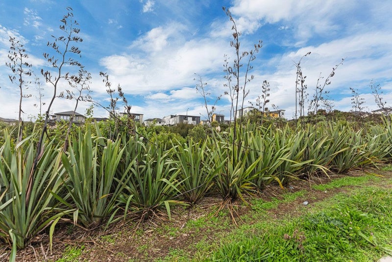 20 Karoro Road, Flat Bush, Auckland - Carousel 23