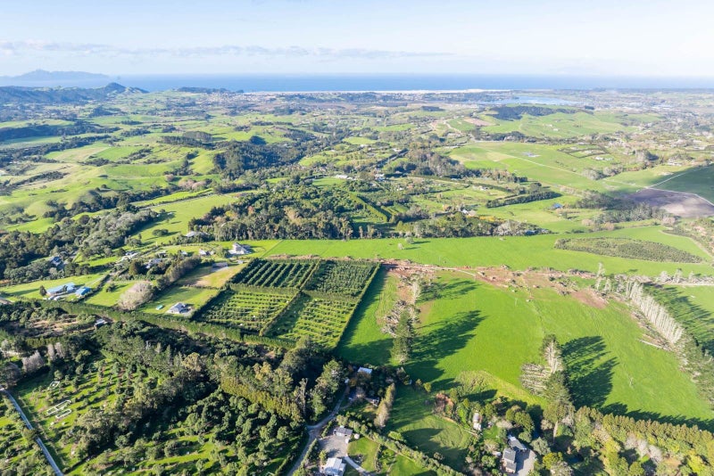 497A Tara Road, Mangawhai - Carousel 2