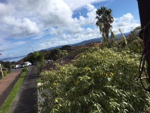 7 George Laurenson Lane, Mount Roskill, Auckland - Carousel 1