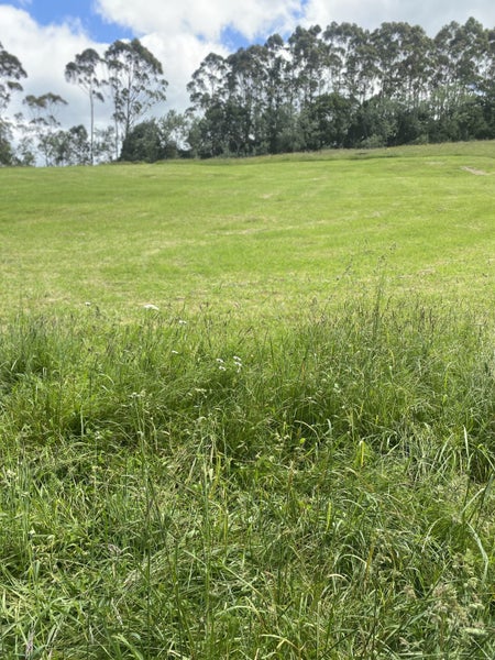 397 Grove Road, Hamilton - Carousel 40