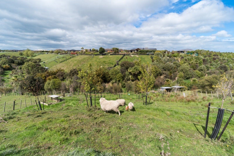 49 Wapiti Avenue, Feilding, Feilding - Carousel 43
