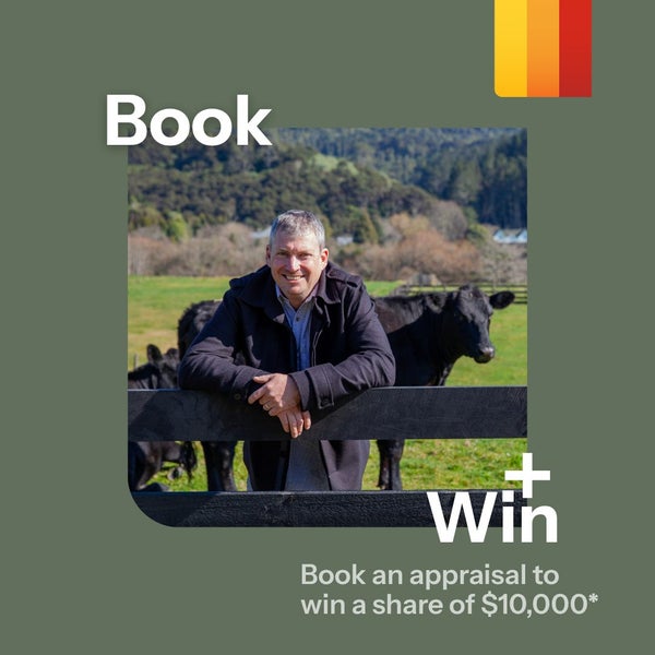 194 Proctor Road, Taupiri - Carousel 27