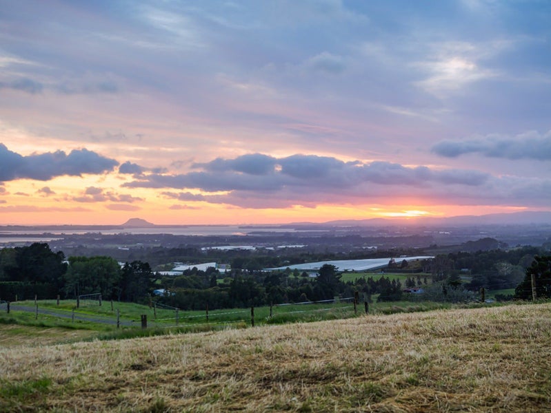 348D Rea Road, Tahawai - Carousel 39