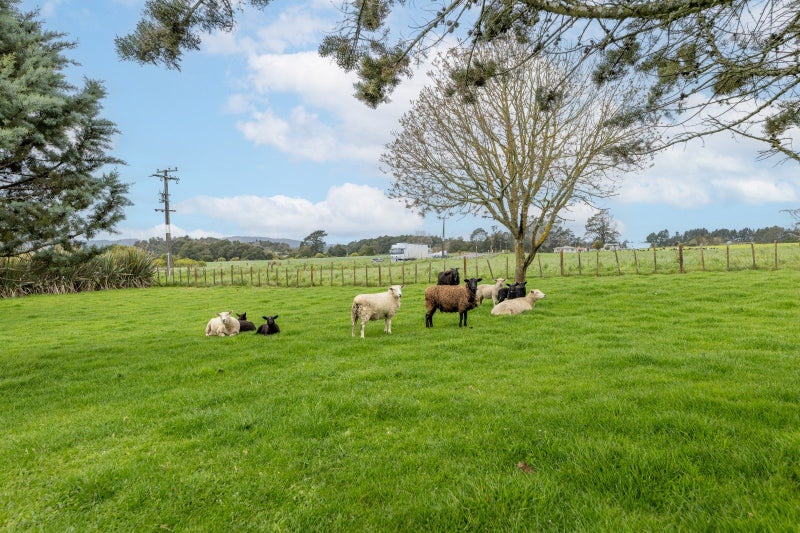 926 State Highway 5, Tapapa, Tirau, South Waikato, Waikato - Carousel 26