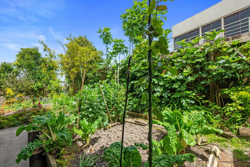2/51 Deep Creek Road, Waiake, Auckland - Carousel 19