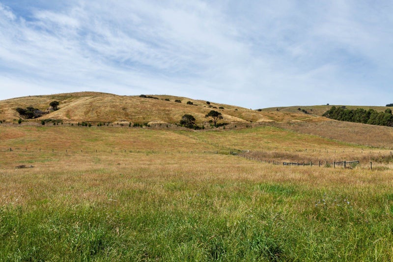 Lake Ferry Road, Martinborough, South Wairarapa, Wellington - Carousel 10