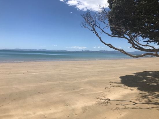 201 Howard Road, Ōrere Point - Carousel 5