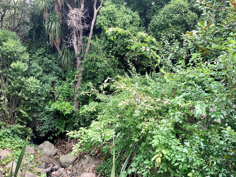 28 Harbour View Terrace, Cass Bay, Banks Peninsula, Canterbury - Carousel 21