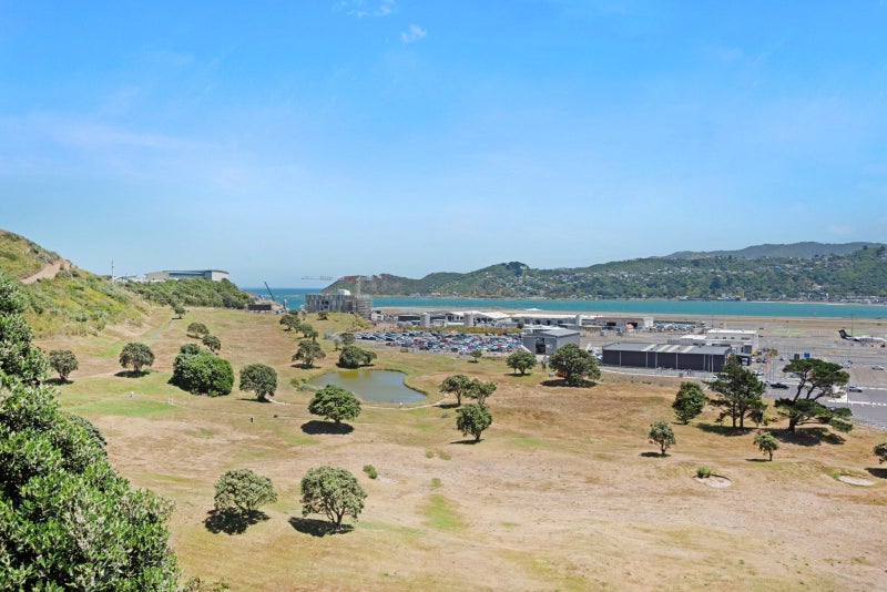 50C Raukawa Street, Strathmore Park, Wellington, Wellington - Carousel 2