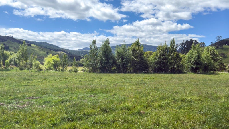 150 Puriri Valley Road, PURIRI, THAMES - Carousel 14