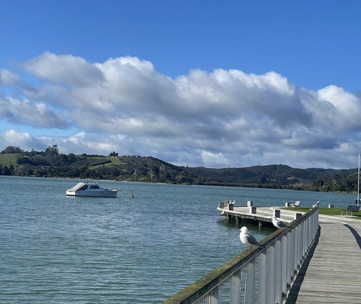 18 Grey Street East, Mangōnui - Carousel 38