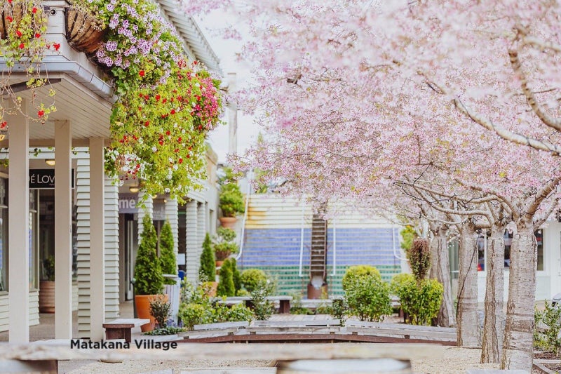 28 Awanui Crescent, Warkworth - Carousel 1