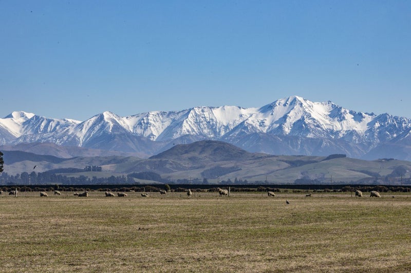 22 Cooney Avenue, Darfield, Darfield - Carousel 27