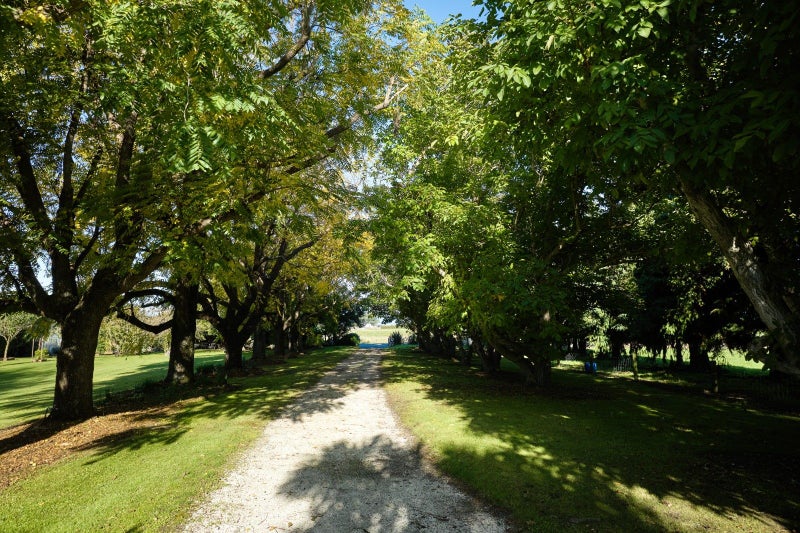 373 State Highway 1, KAIKOURA FLAT, KAIKOURA - Carousel 2