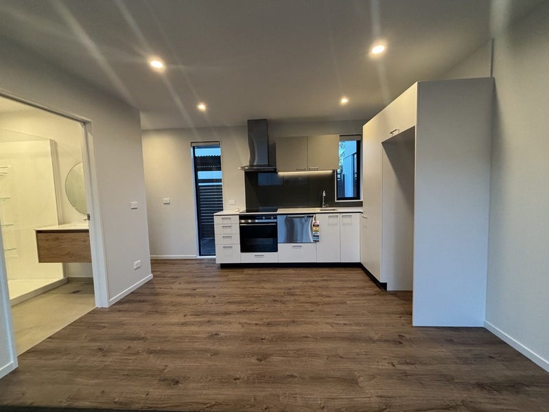 13/55 Opawa Road, Waltham, Christchurch - Carousel 2