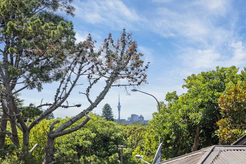 4/1523 Great North Road, Waterview, Auckland - Carousel 2