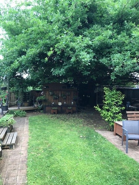 4 Arapuni Road, Arapuni, Putaruru - Carousel 5