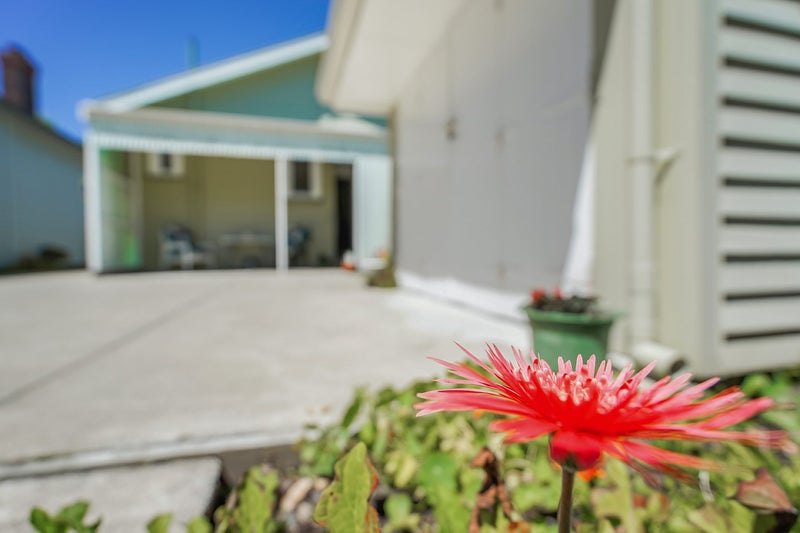 61 Cook Street, Hamilton East, Hamilton - Carousel 24