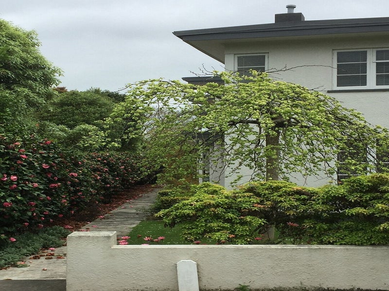Property Valuation for 33 Pahiatua Street, Hokowhitu, Palmerston North