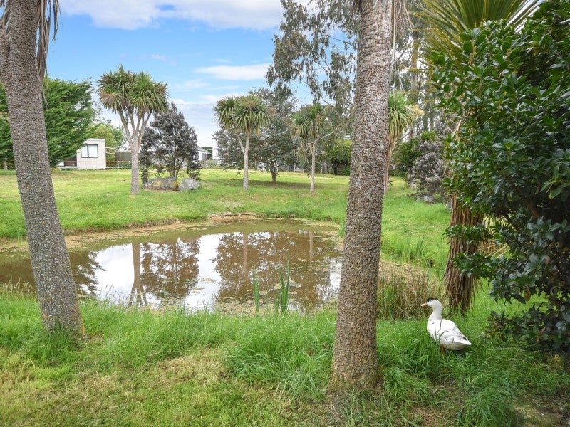 407 Outram-Mosgiel Road, North Taieri, Outram - Carousel 26