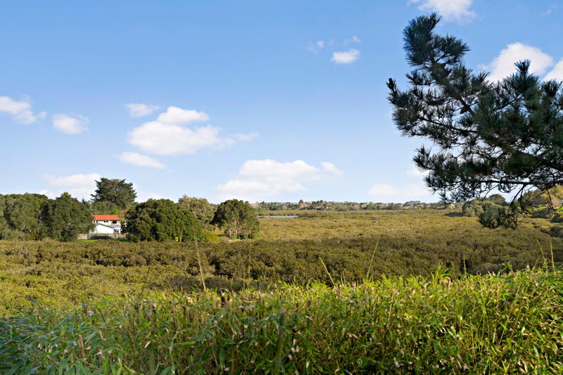 13A Volante Avenue, Wattle Downs, Auckland - Carousel 24