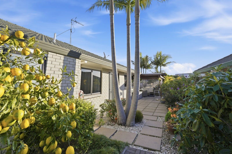 177 Grenada Street, Mount Maunganui, Mount Maunganui - Carousel 31