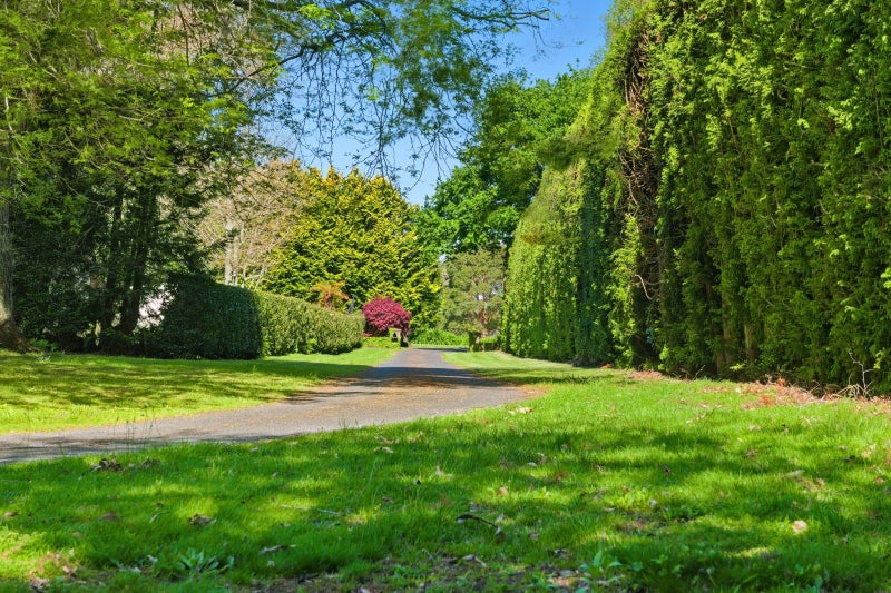 139 Kayelene Place, Omokoroa - Carousel 44