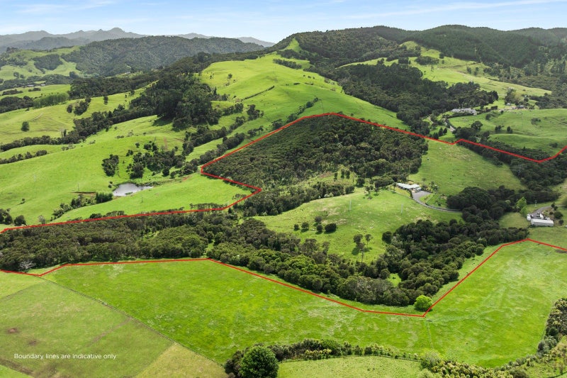 135 Warahoe Road, Matatoki, Thames - Carousel 28