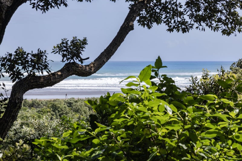 59 North Piha Road, Piha, Piha - Carousel 2