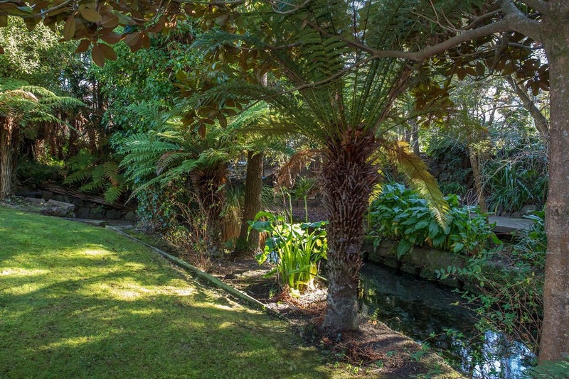 118 Straven Road, Fendalton, Christchurch - Carousel 40