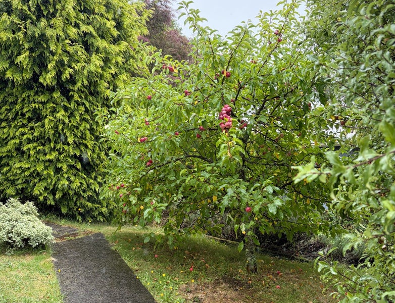 8 Arrow Street, Washington Valley, Nelson, Nelson / Tasman - Carousel 29