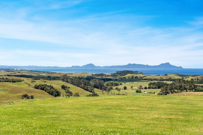 115 Millennium Way, Waipu, Whangarei, Northland - Carousel 2