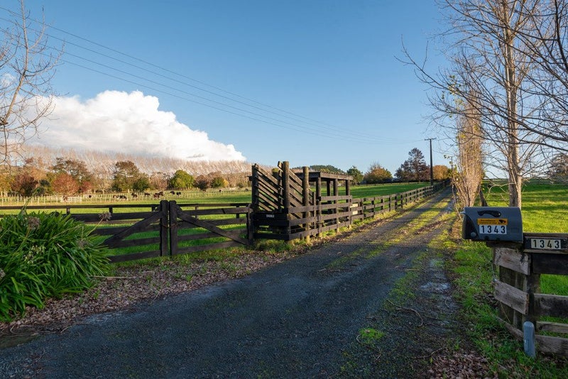 1343 Kahikatea Flat Road, Kaukapakapa, Kaukapakapa - Carousel 37