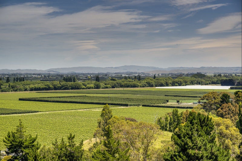 15G Omarunui Road, Waiohiki, Napier - Carousel 34