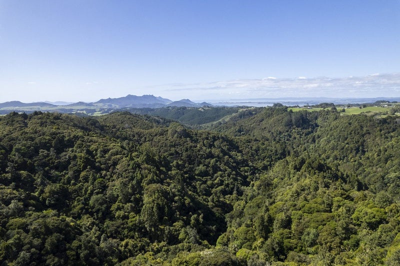 33 Ngapuke Lane, Onerahi - Carousel 26