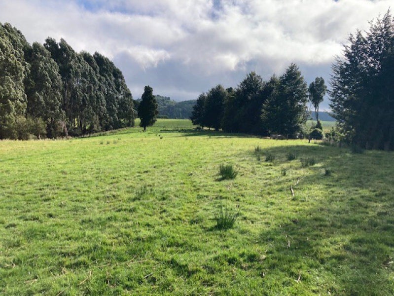 616B Reaby Road, Gore, Gore, Southland - Carousel 1