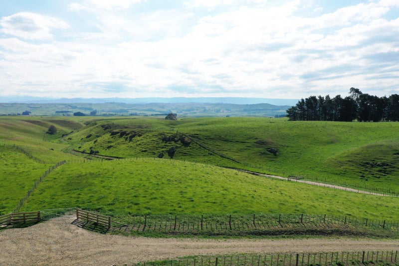 0 Whakapirau Road, HASTINGS - Carousel 1