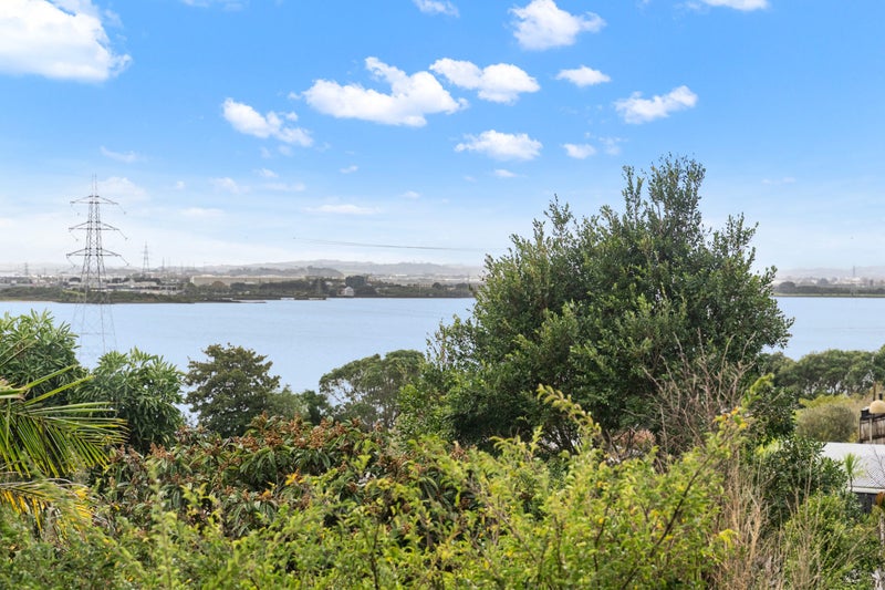 70A Goodall Street, Hillsborough, Auckland - Carousel 31