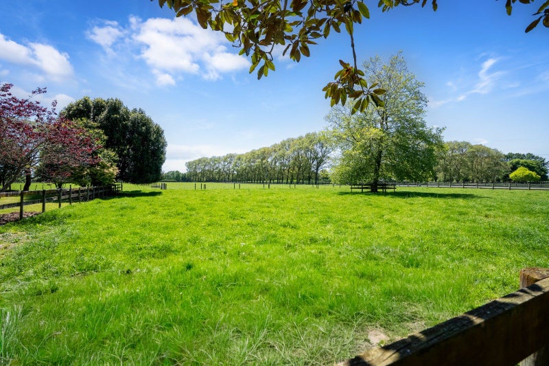 446 Mystery Creek Road, Ohaupo, Waipa, Waikato - Carousel 44