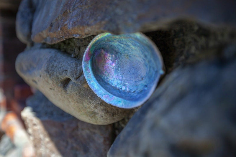 13 Rosetta Road, Raumati South, Paraparaumu - Carousel 48