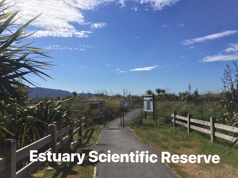 102 The Drive, Otaihanga, Paraparaumu - Carousel 2