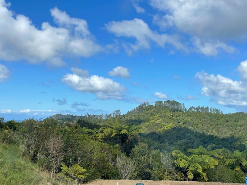 357A Govan Wilson Road, Warkworth - Carousel 10