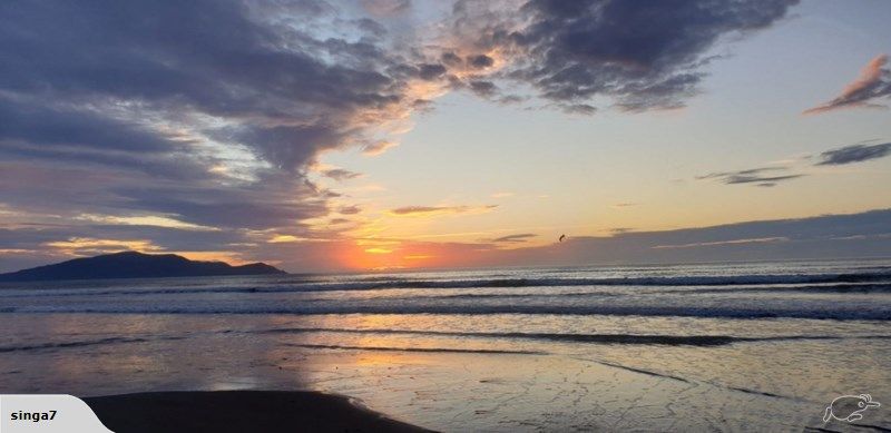 65 Gawler Street, Te Horo Beach - Carousel 19