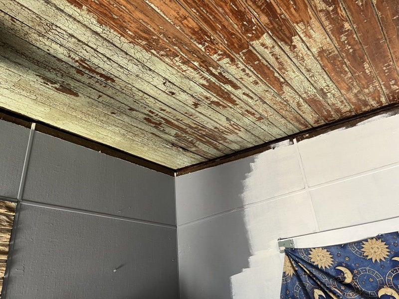 11 Endcliffe Road, Kaiti, Gisborne - Carousel 26