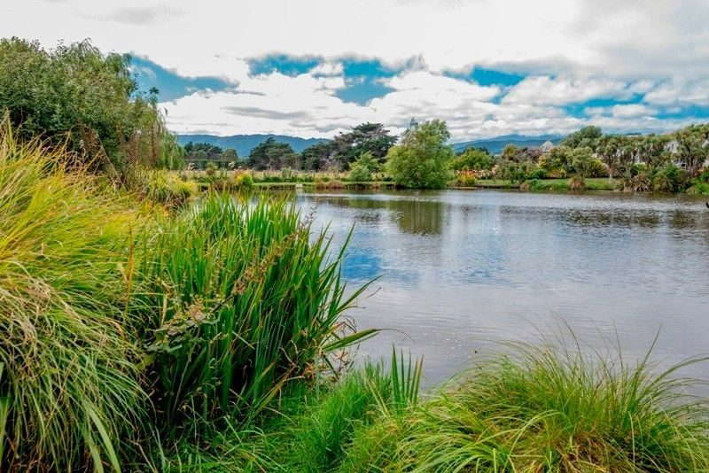 62 The Drive, Paraparaumu Beach, Paraparaumu - Carousel 26