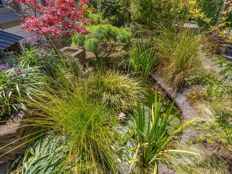 563 Koputaroa Road, Koputaroa, Levin - Carousel 24